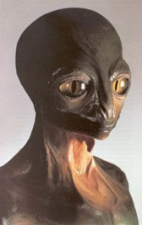 image_thumb.png