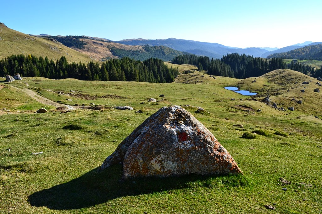 [DSC_52323.jpg]