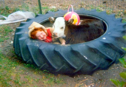 Amber in tire with calf