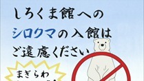 [HorribleSubs] Polar Bear Cafe - 03 [720p].mkv_snapshot_05.46_[2012.04.19_12.25.00]