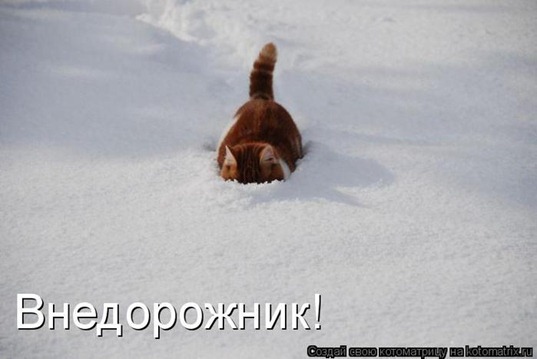 [78134207_4267534_385528%255B2%255D.jpg]