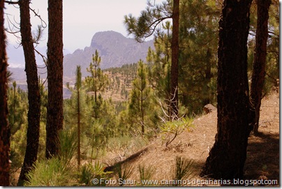 6384 Deg. Las Palomas-Bº. Hondo 6384 Deg. Las Palomas-Bº. Hondo