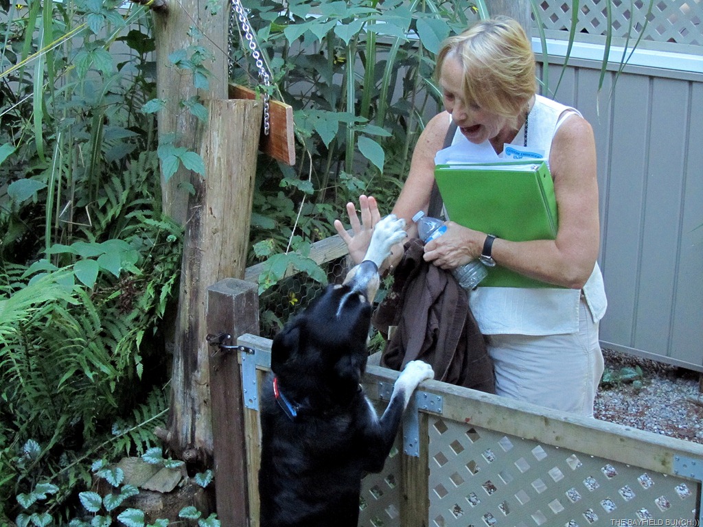 [IMG_0733%255B4%255D.jpg]