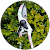 Nothum Sophie Nothum Sophie