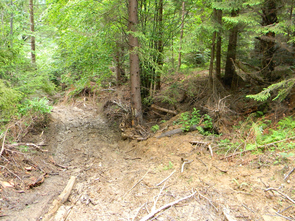 [DSCN67803.jpg]