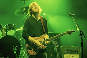 Trey Anastasio