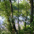 Loire rive droite aux Rompeys, à Marclopt photo #1201