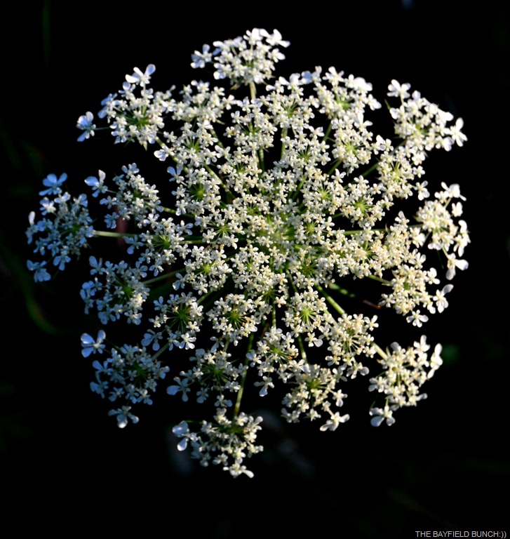 [DSC_0014%255B4%255D.jpg]