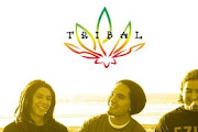 Tribal Seeds