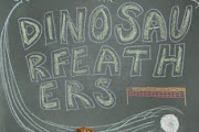 Dinosaur Feathers