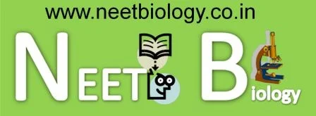 NEET biology Questions