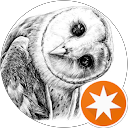 REIS Roidesigngroupcom profile picture
