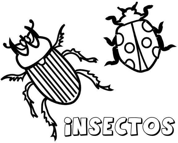 Dibujos De Insectos Para Colorear