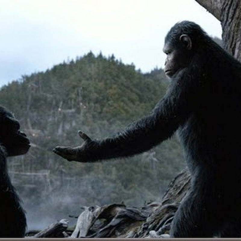 “Dawn of the Planet of the Apes” Latest Trailer Reveal