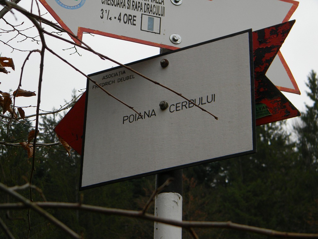 [DSCN22553.jpg]
