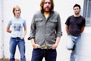 Spiderbait