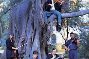 Penguin Cafe Orchestra
