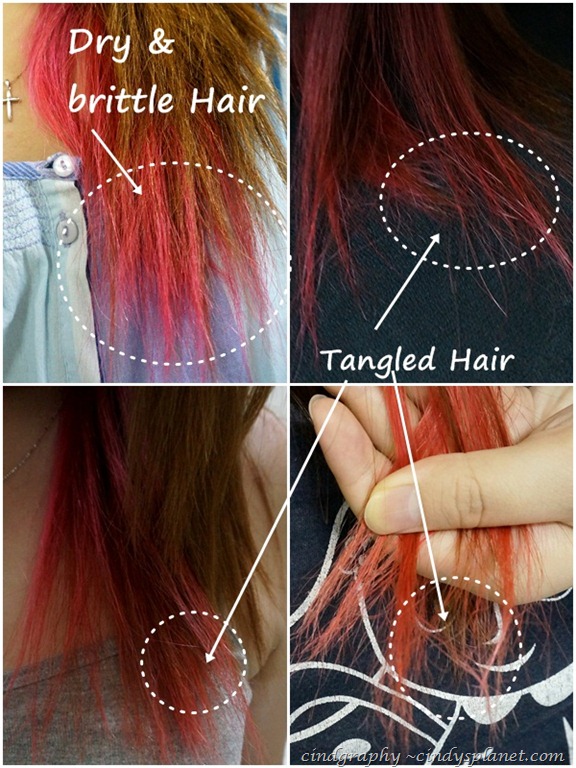 [Damaged%2520Hair%25201.jpg.webp]