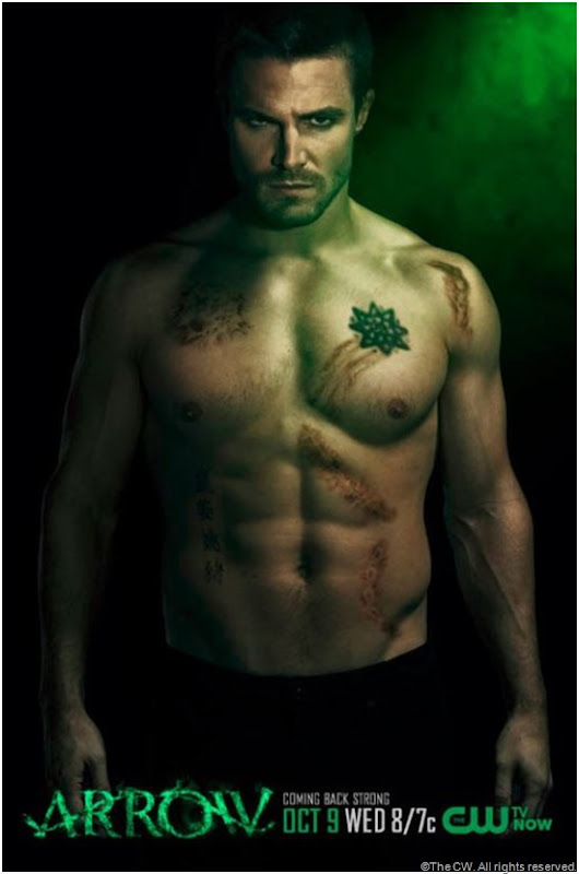 Stephen Amell from ARROW. CLICK on image to enlarge.