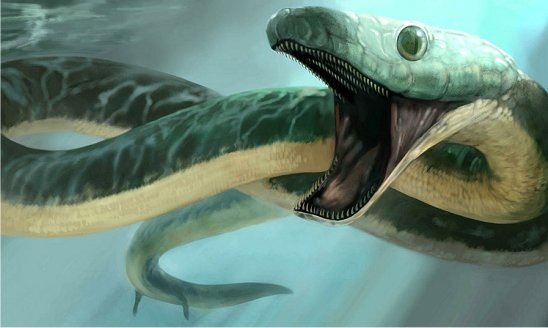 Serpiente marina con patas vestigiales Serpiente marina con patas vestigiales