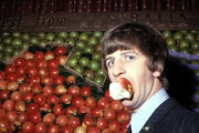 Ringo Starr