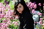 Pj Harvey