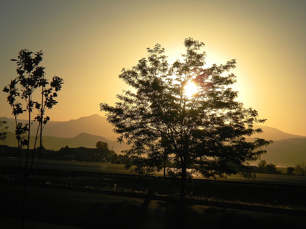 [DSCN5636%2520-%2520Kopie%255B5%255D.jpg]