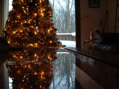 c0 Cairns Christmas tree in Grand Rapids, MI, 2007