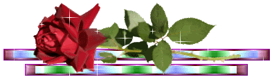 divider46.gif