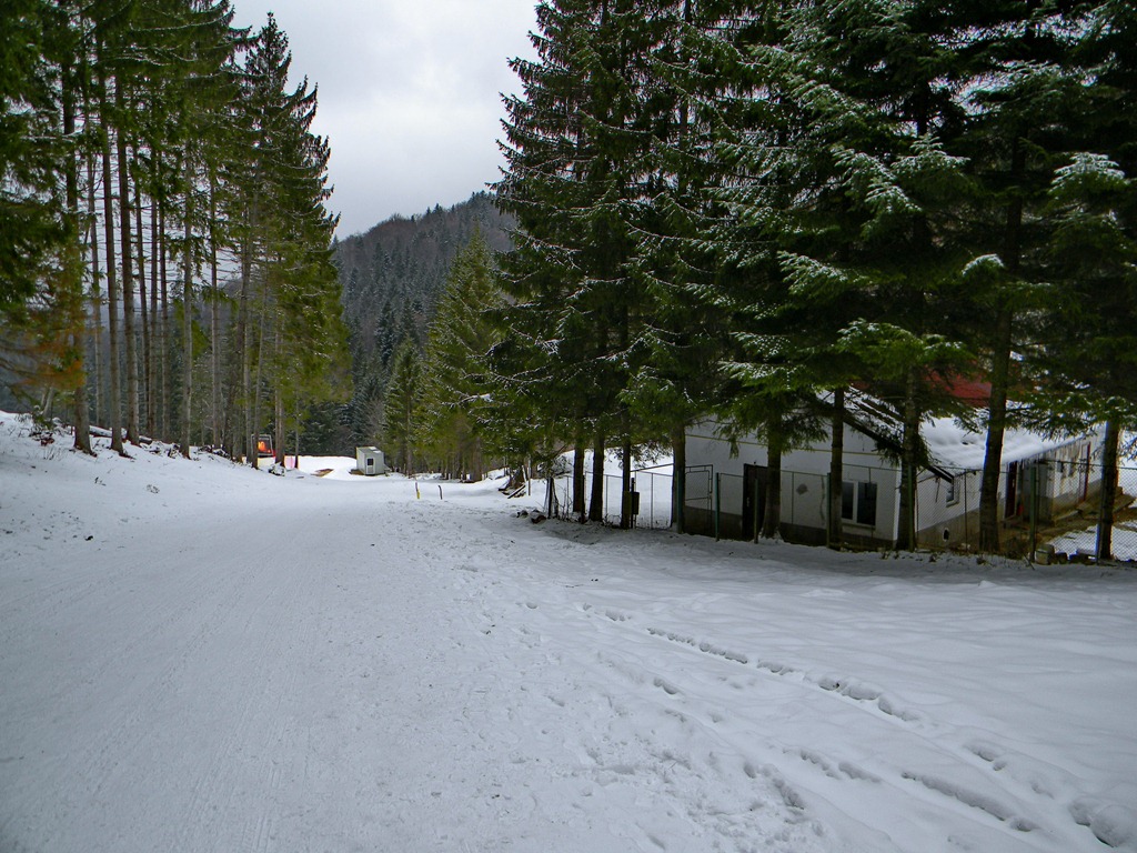 [DSCN40693.jpg]