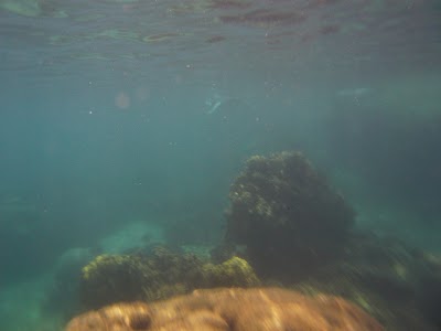 P1050336.JPG