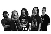 SOJA