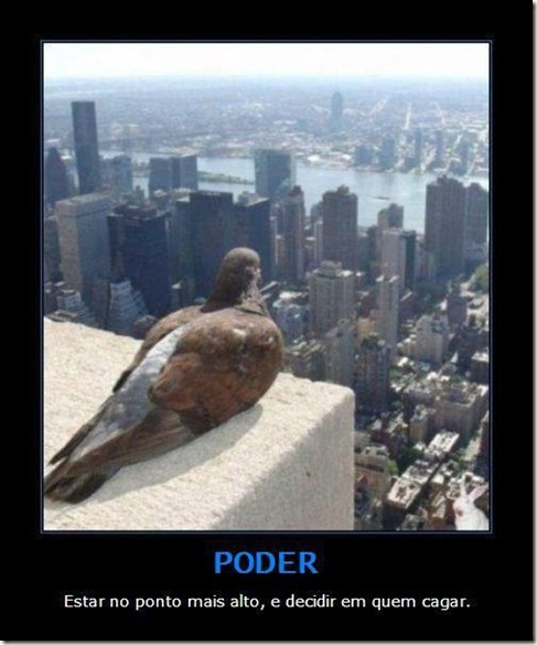 pombo