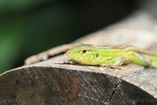 IMG_0282 IMG_0282