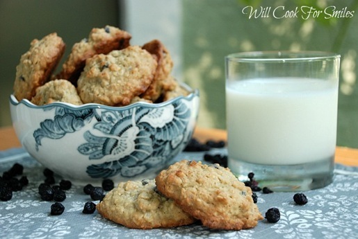 Blueberry Oatmeal Cookies 5 ed