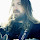 The White Buffalo