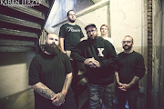 The Acacia Strain