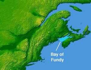 bay-of-fundy-map