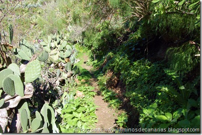 4567 Barranco de Antona 4567 Barranco de Antona