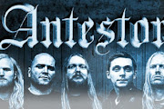 Antestor