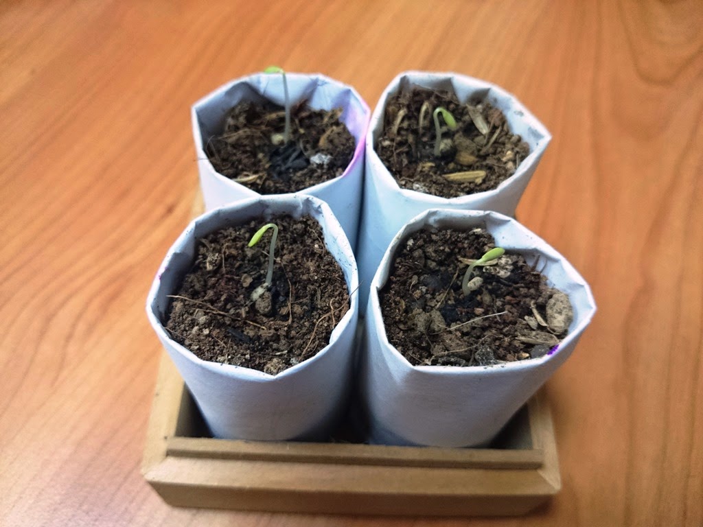 [DSC_0119%255B3%255D.jpg]