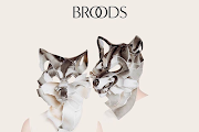 Broods