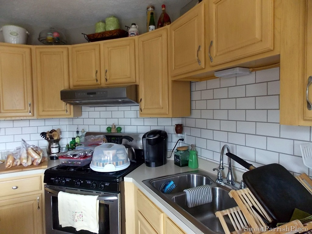 [DSCN1988%255B3%255D.jpg]