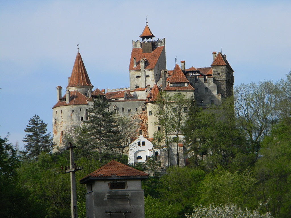[DSCN90323.jpg]