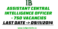 IB-Assistant-Central-Intelligence-Officer-2014