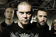 Chimaira