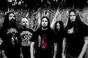 Disgorge