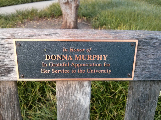Donna Murphy Memorial Bench