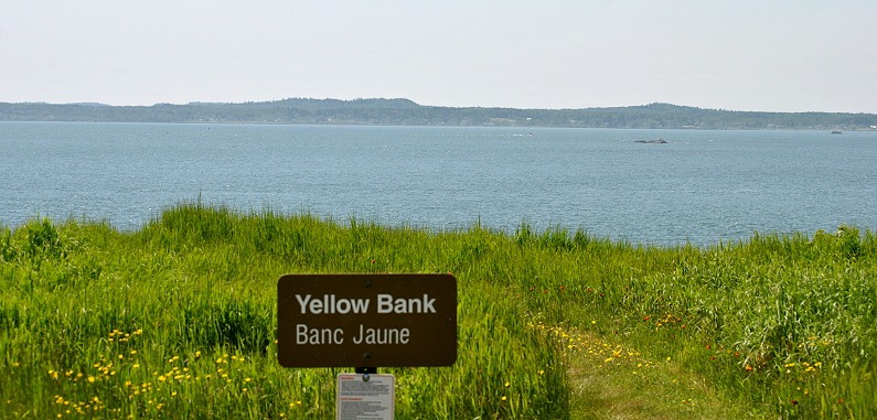 [2---Yellow-Bank-on-the-Liberty-Beach%255B2%255D.jpg]
