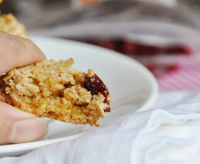 oatmeal cranberry orange pecan cookies 073